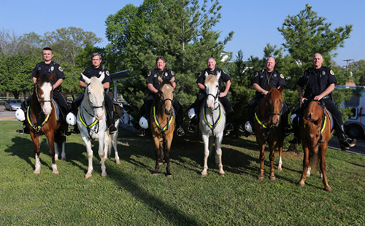 St Mounted Patrol Training